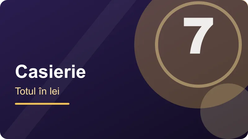 DMX Casino – Lei în cont: depunere, verificare, retragere Lei în cont: depunere, verificare, retragere – ilustrație pentru secțiunea DMX Casino